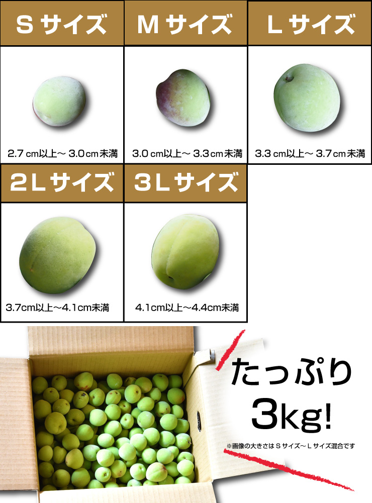 今期最終！？在庫限り】【6月上旬より発送予定】伊藤農園の南高梅 3kg