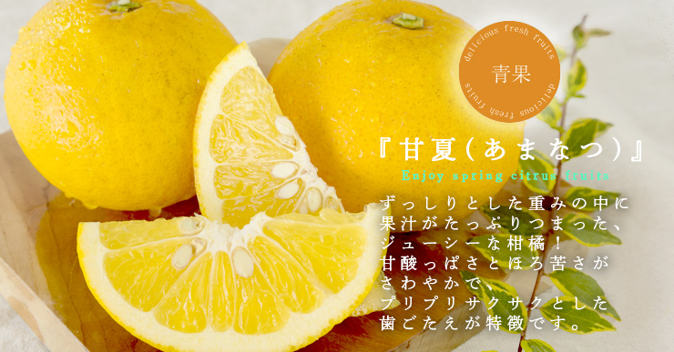 citrus-search amanatsu