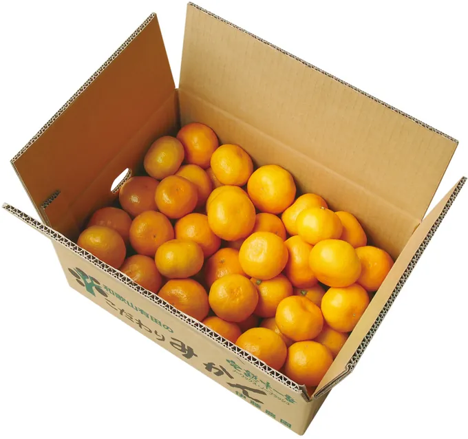 箱入りの有田みかん
