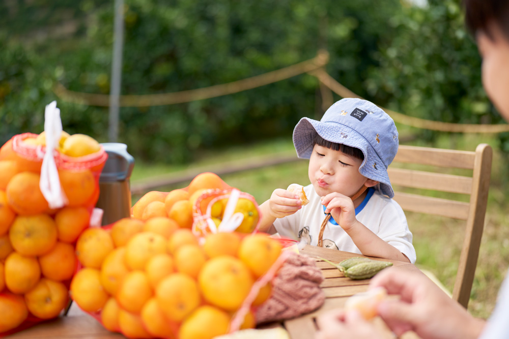 お土産のみかんとみかんを食べる子ども
