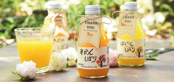プチギフト | 有田みかん・和歌山県産柑橘の青果、加工品、販売 柑橘の