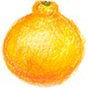 不知火しぼり