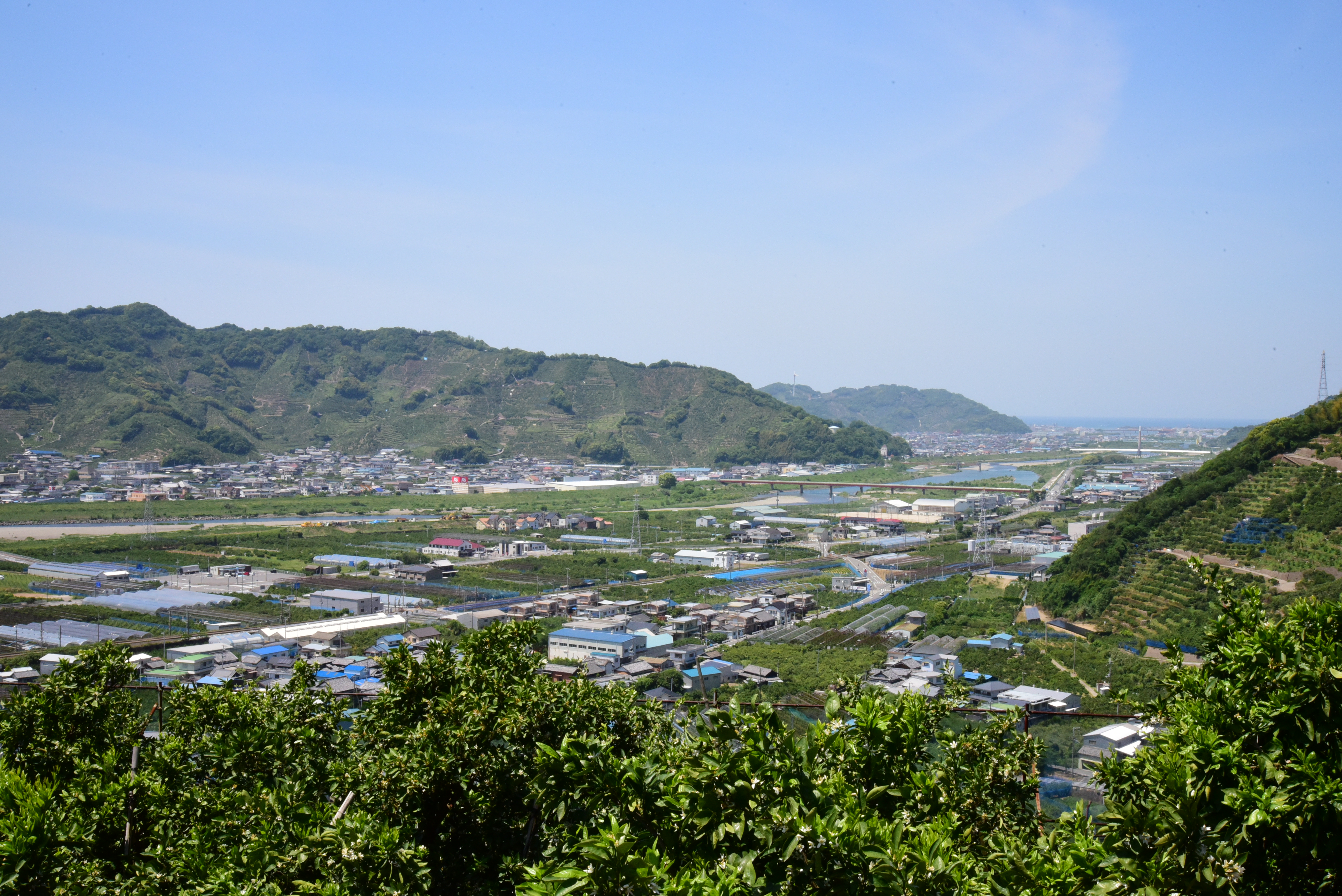 伊藤農園の風景