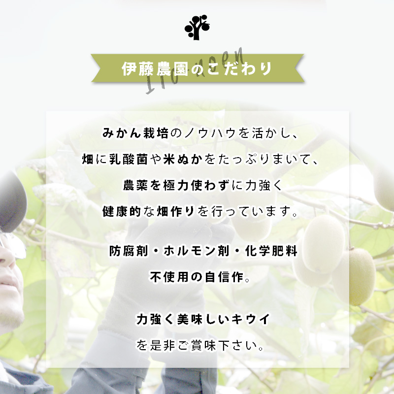 特選キウイ