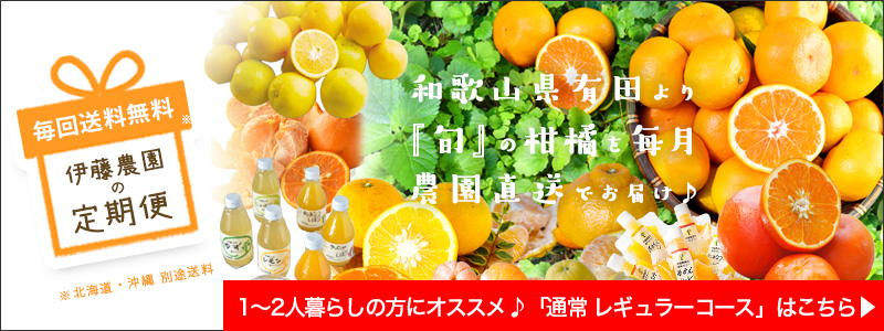 みかん定期便