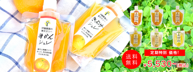 寒天ジュレ定期便