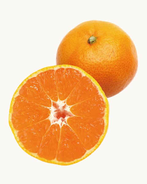 温州みかんと輪切りにしたみかん
