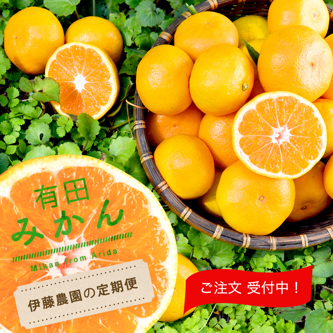 有田みかん・和歌山産柑橘の生産、加工、販売 柑橘の専門店｜公式