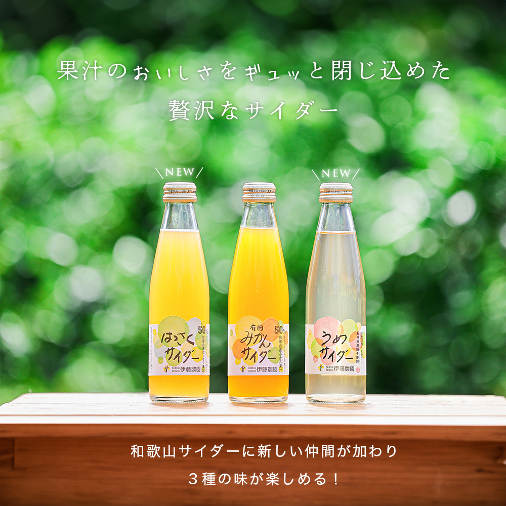 和歌山フルーツサイダー 有田みかんサイダー・はっさくサイダー・うめサイダー