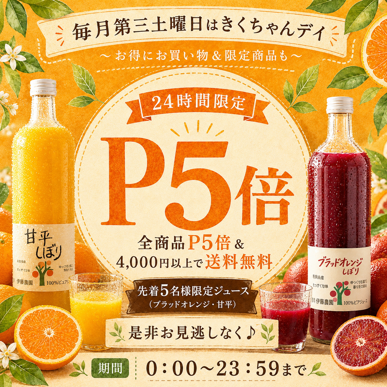24時間限定タイムセール