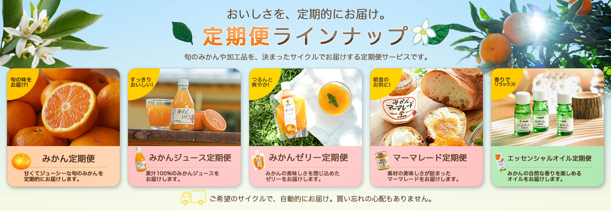 定期便