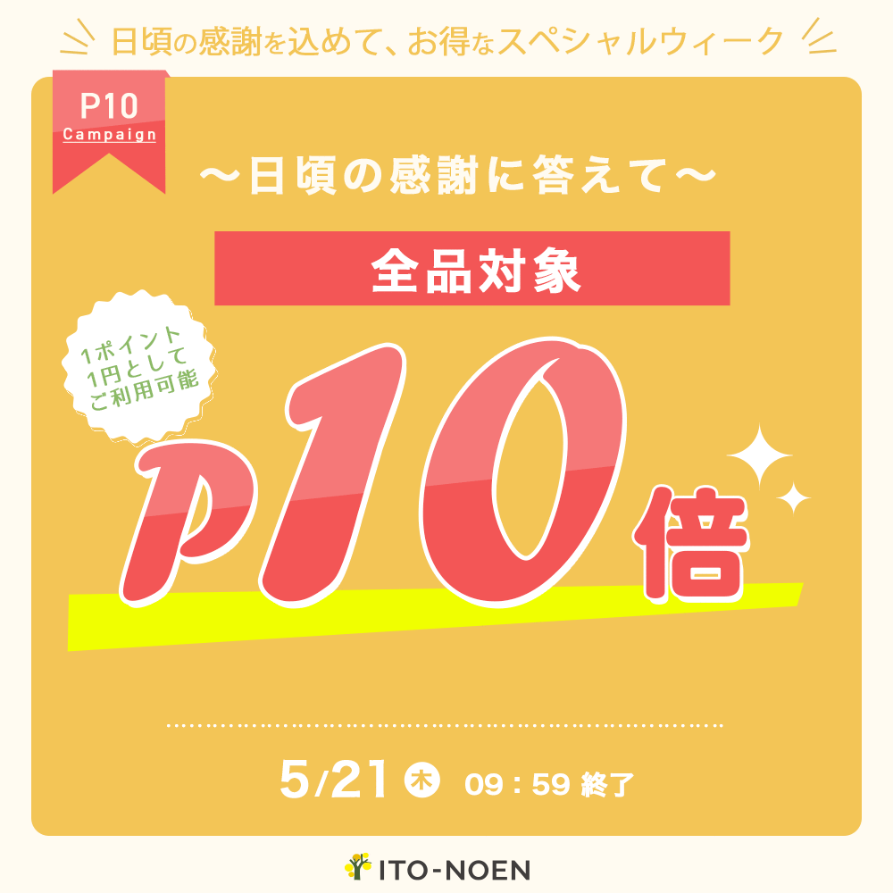 P10倍