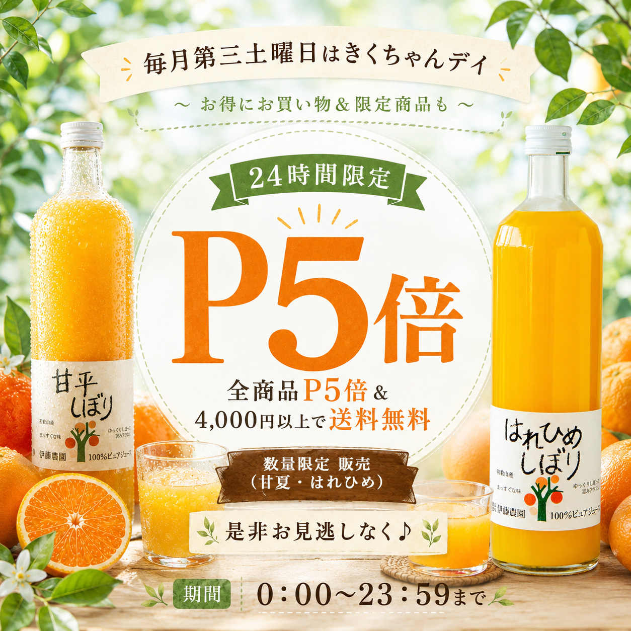 24時間限定タイムセール