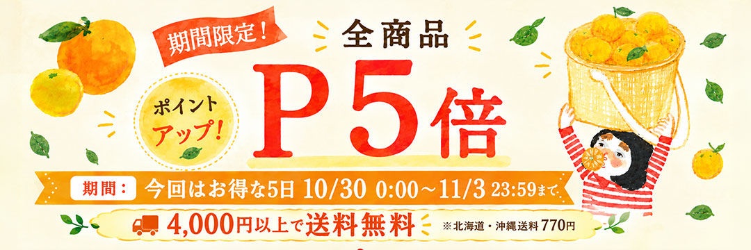 20261030-1103_kiku_p5_pc.jpg