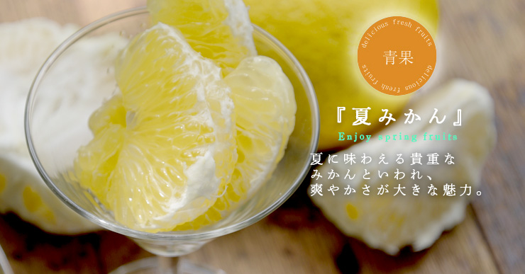 夏みかん｜Citrus natsudaidai | 有田みかん・和歌山県産柑橘の青果