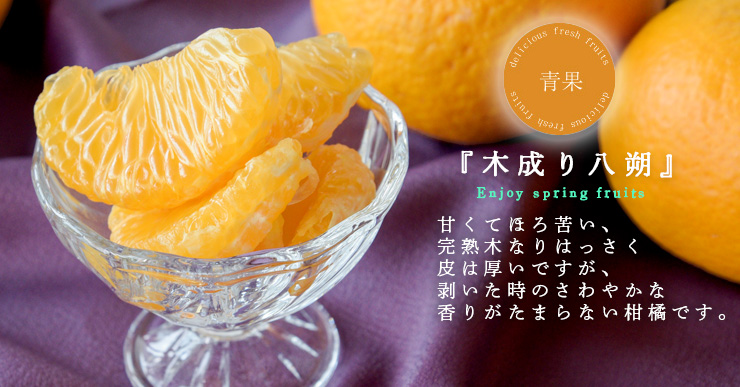木成り八朔