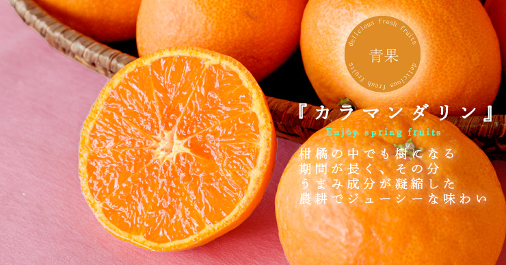 カラマンダリン(春みかん)｜Kara Mandarin | 有田みかん・和歌山県産