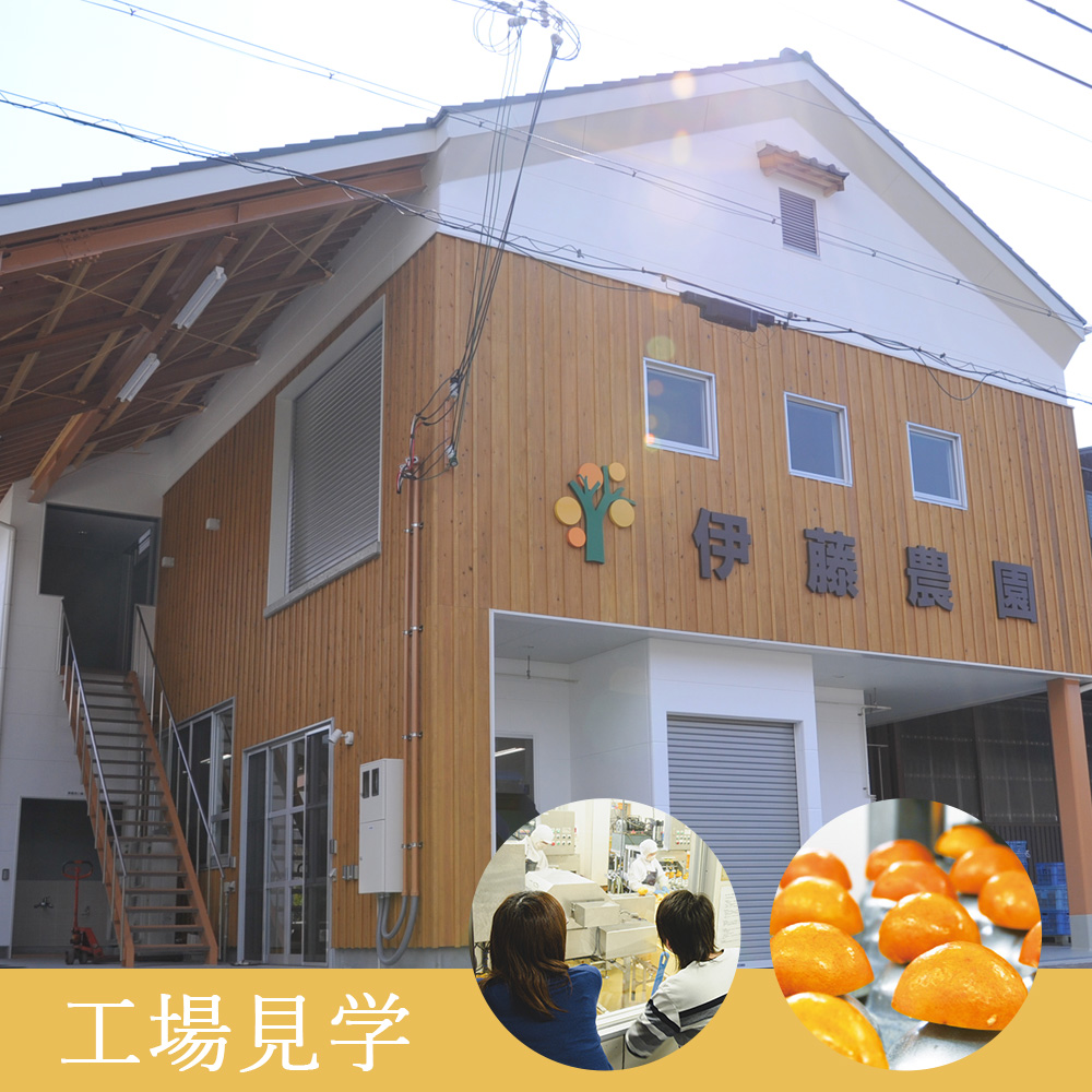 季節のおすすめ4