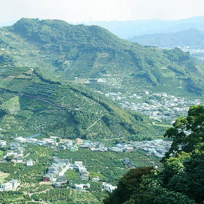 和歌山有田