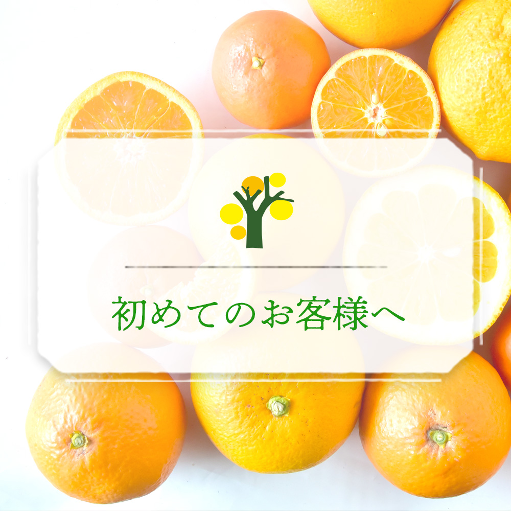 津之望（つののぞみ）|Tsunonozomi | 有田みかん・和歌山県産柑橘の