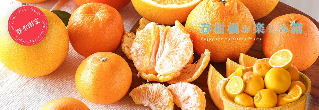 /images/top/harukan_fb_pc.jpg