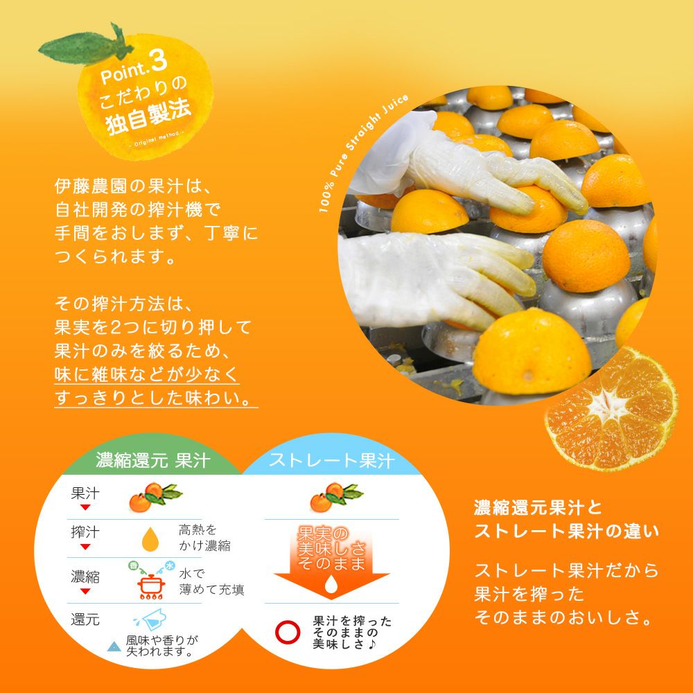 【よりどり選べるギフト】寒天ゼリー90g(みかんゼリー他5種)×6個 ギフト
