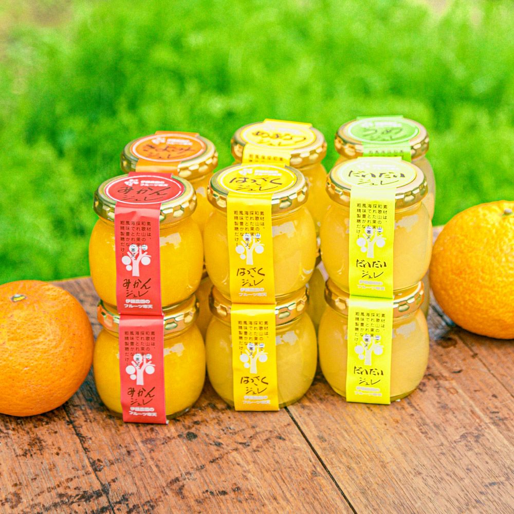 贈答用ギフト（6個入）