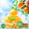 【よりどり選べるギフト】寒天ゼリー90g(みかんゼリー他5種)×12個 ギフト