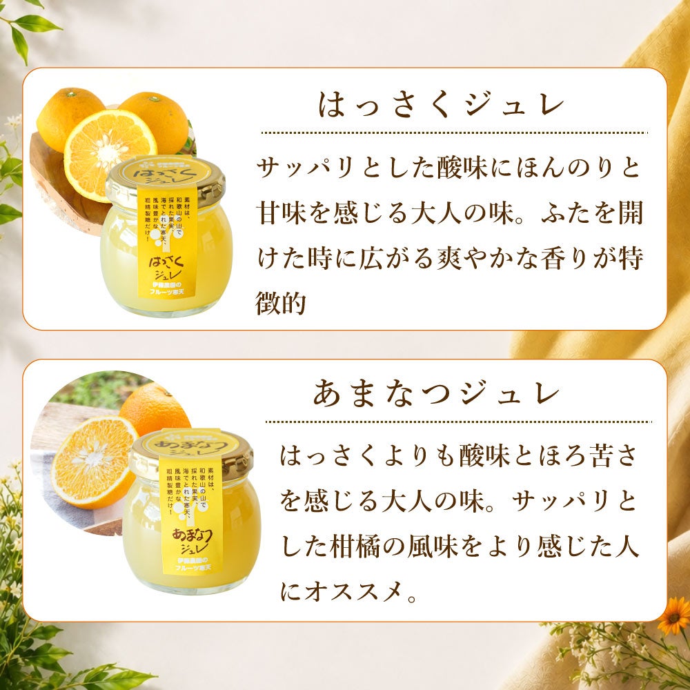 【よりどり選べるギフト】寒天ゼリー90g(みかんゼリー他5種)×12個 ギフト