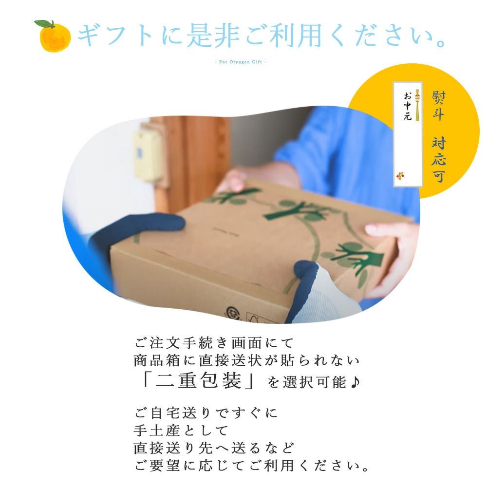 バラエティセット V-113