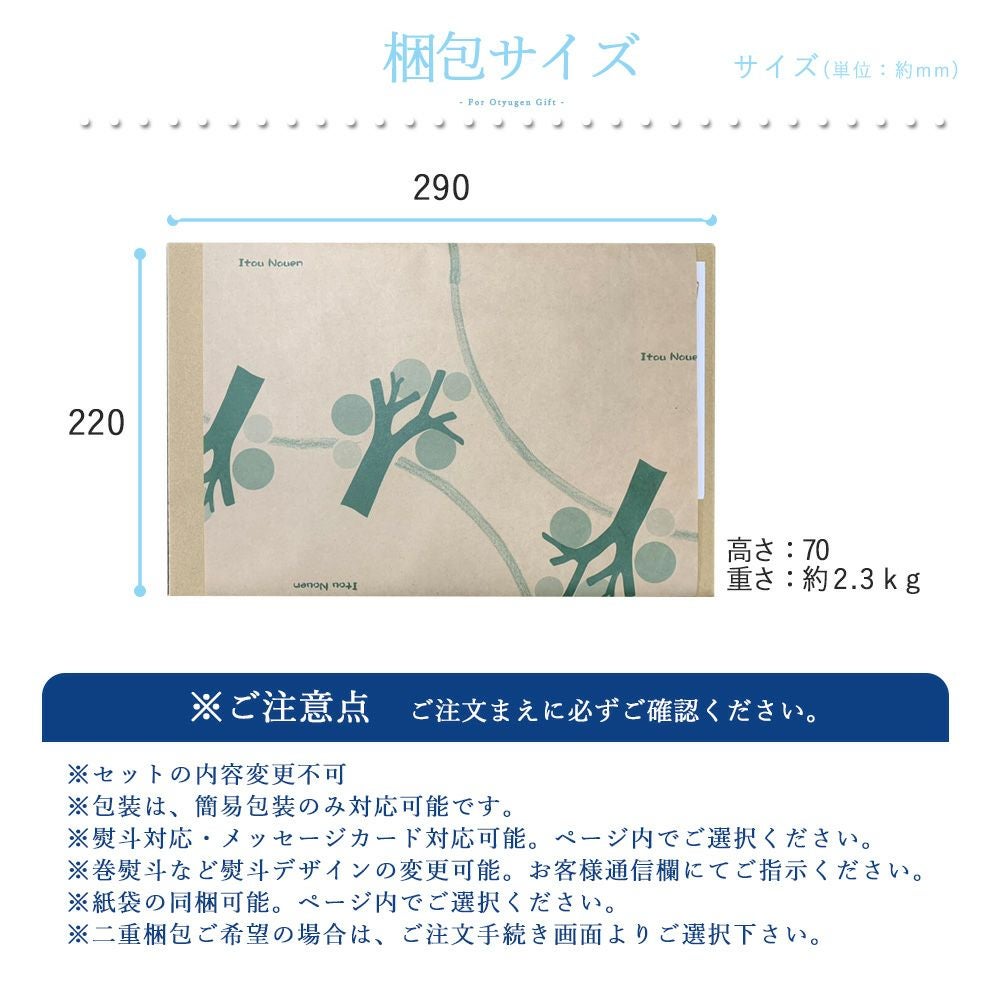 バラエティセット V-113