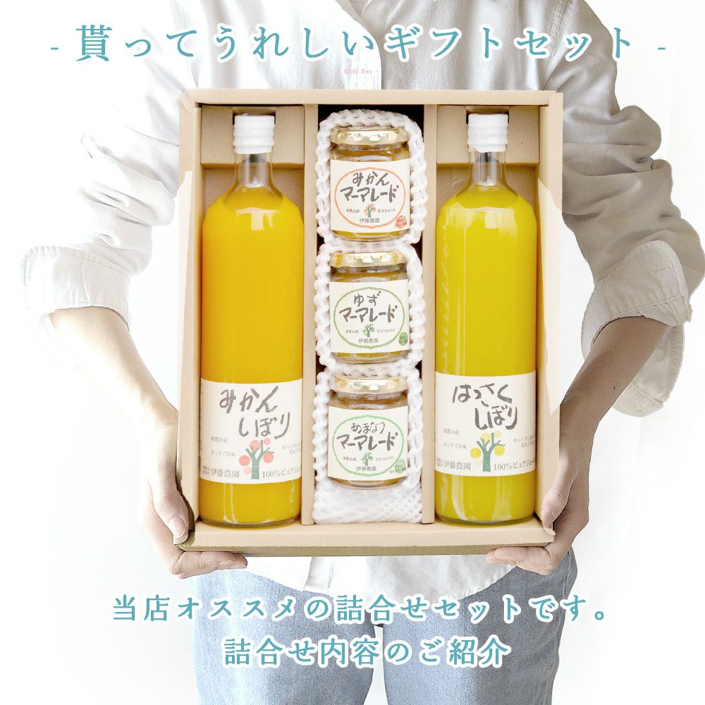 バラエティセット(100%ピュアジュース180ml×7本・素朴ドリンク3本)V-032
