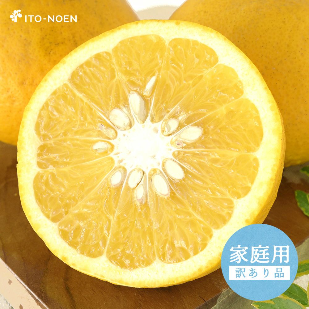 甘夏