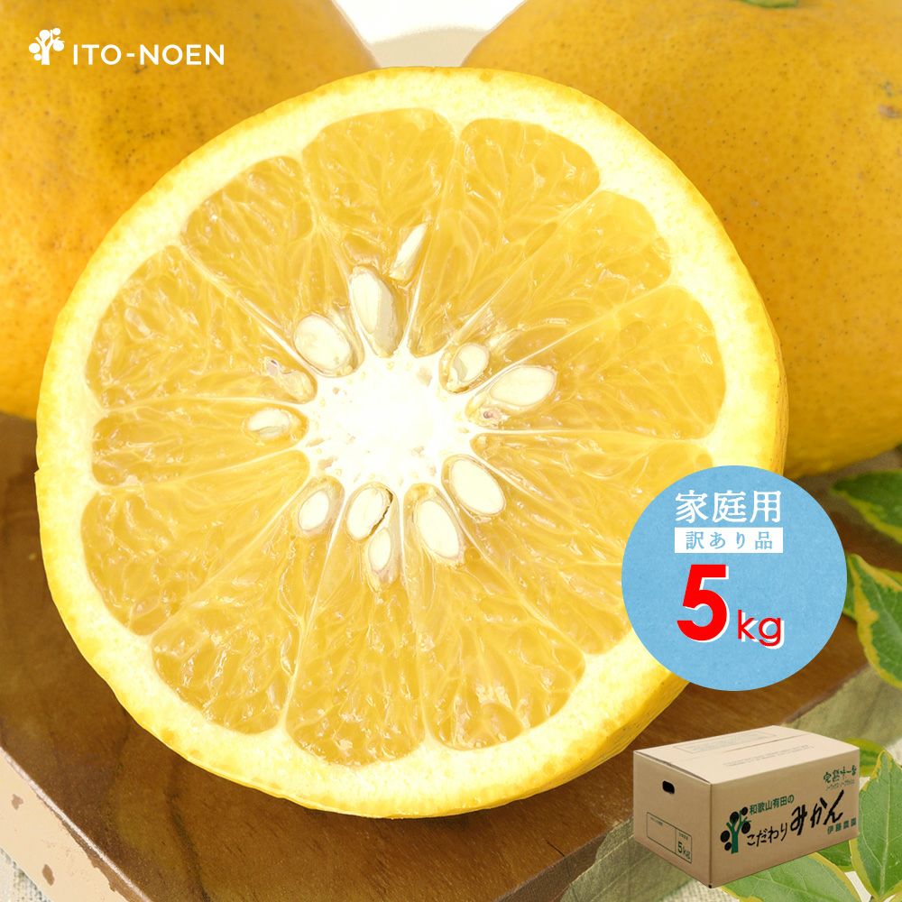 2月中旬より発送予定】【春季限定】甘夏(あまなつ)【家庭用(訳あり品