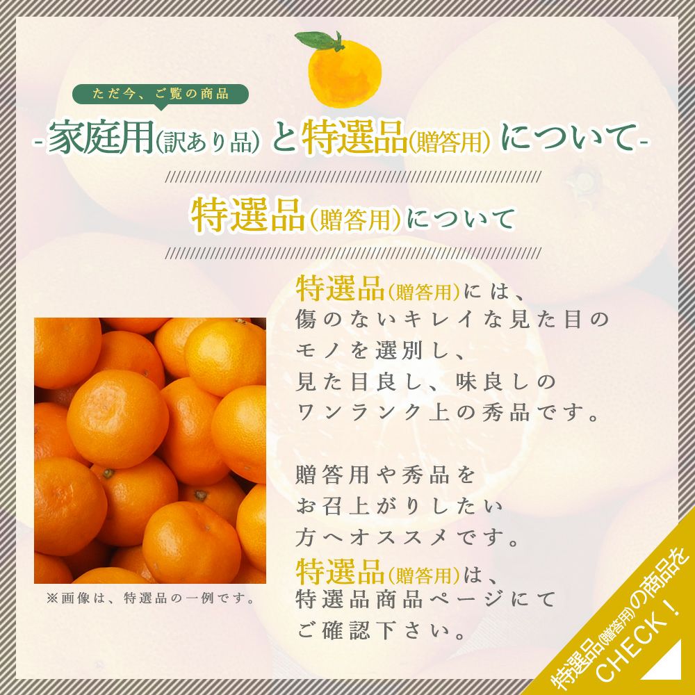 春季限定】八朔(はっさく)【贈答用(特選品)】[5・10kg] | 有田みかん