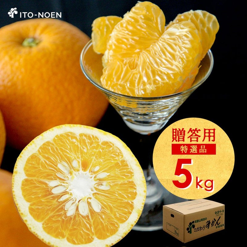 春季限定】八朔(はっさく)【贈答用(特選品)】[5・10kg] | 有田みかん 