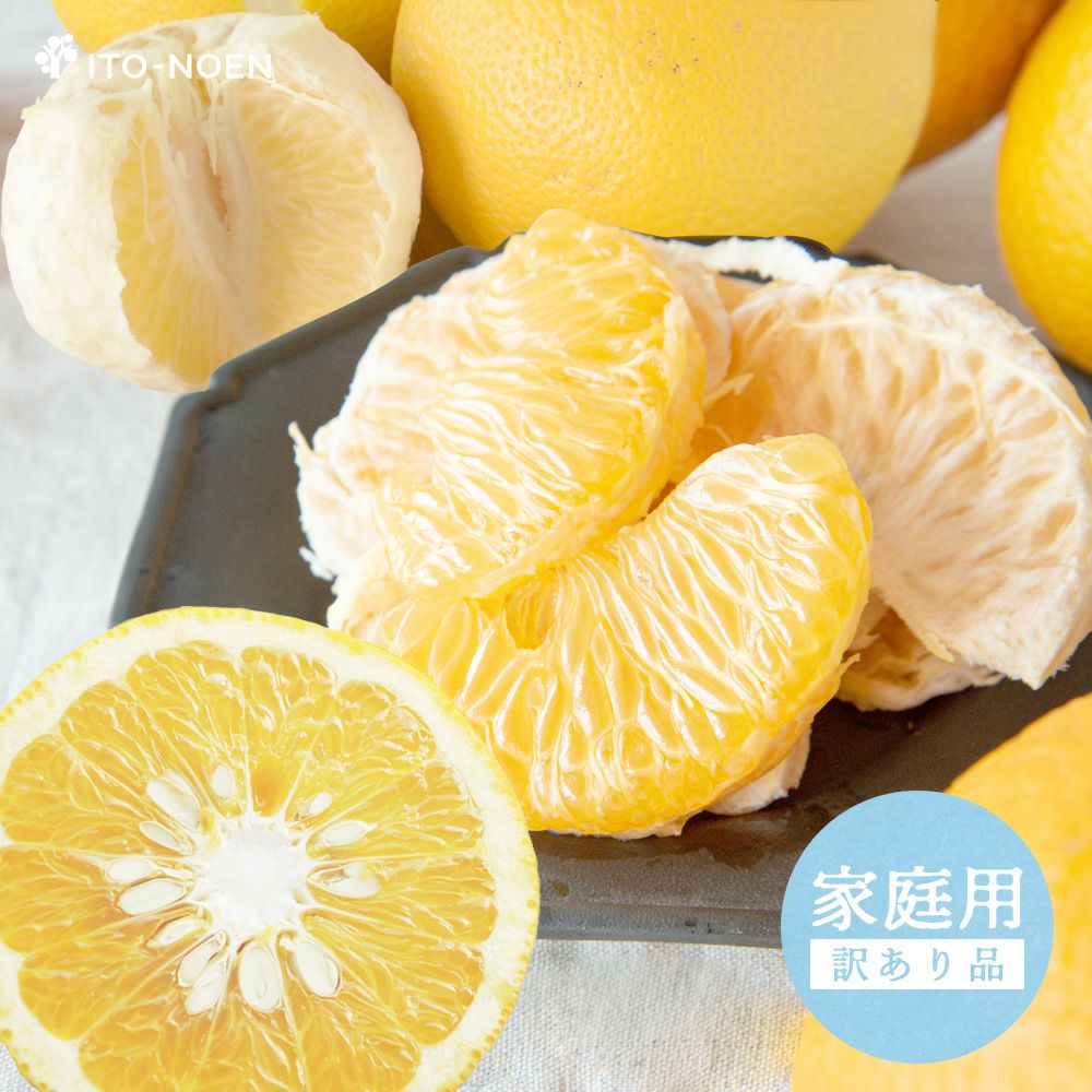 朔太郎 贈答用☆たんかん10キロ♪ 春季限定】八朔(はっさく)【家庭用(訳あり)】5・10kg | 有田みかん