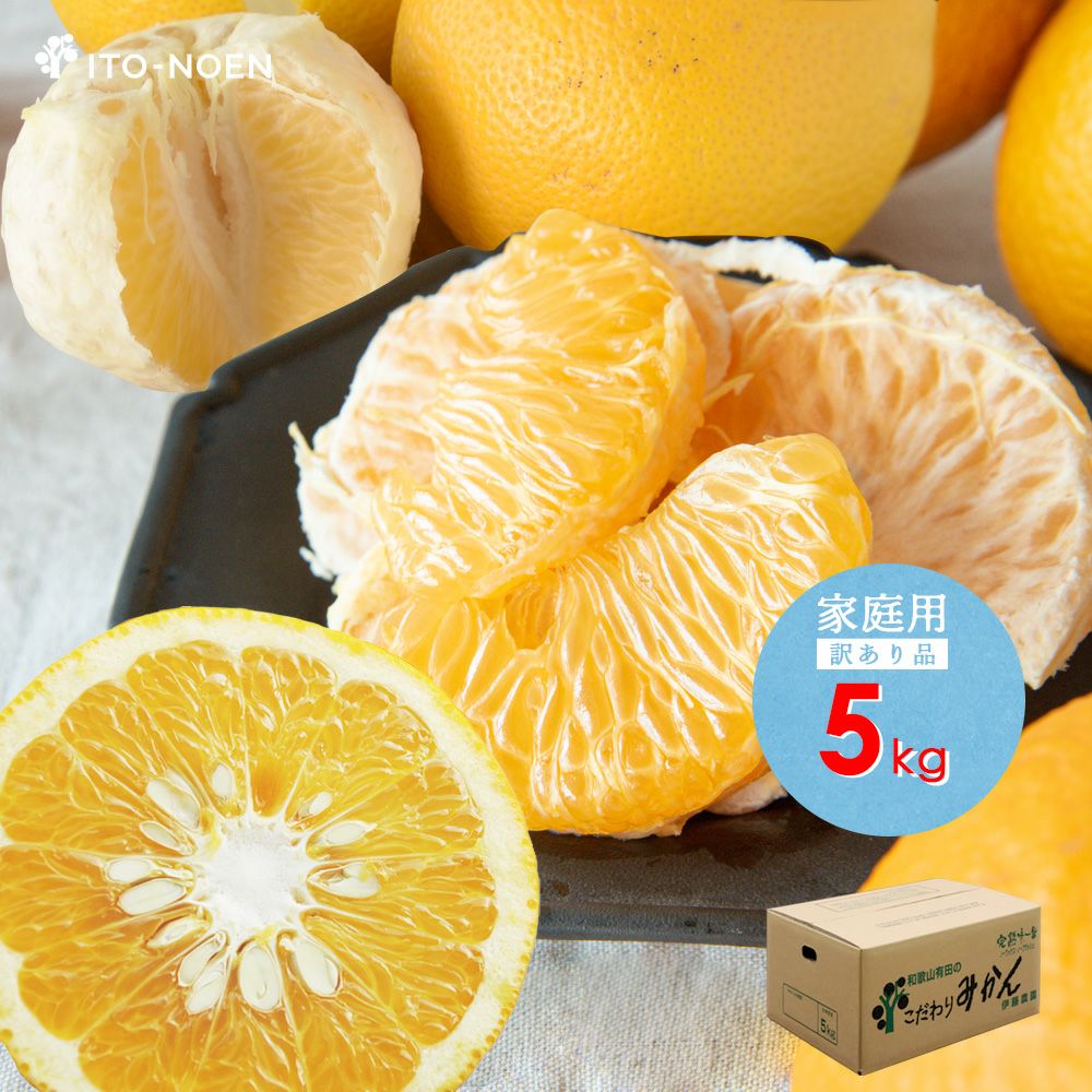 春季限定】八朔(はっさく)【家庭用(訳あり)】5・10kg | 有田みかん