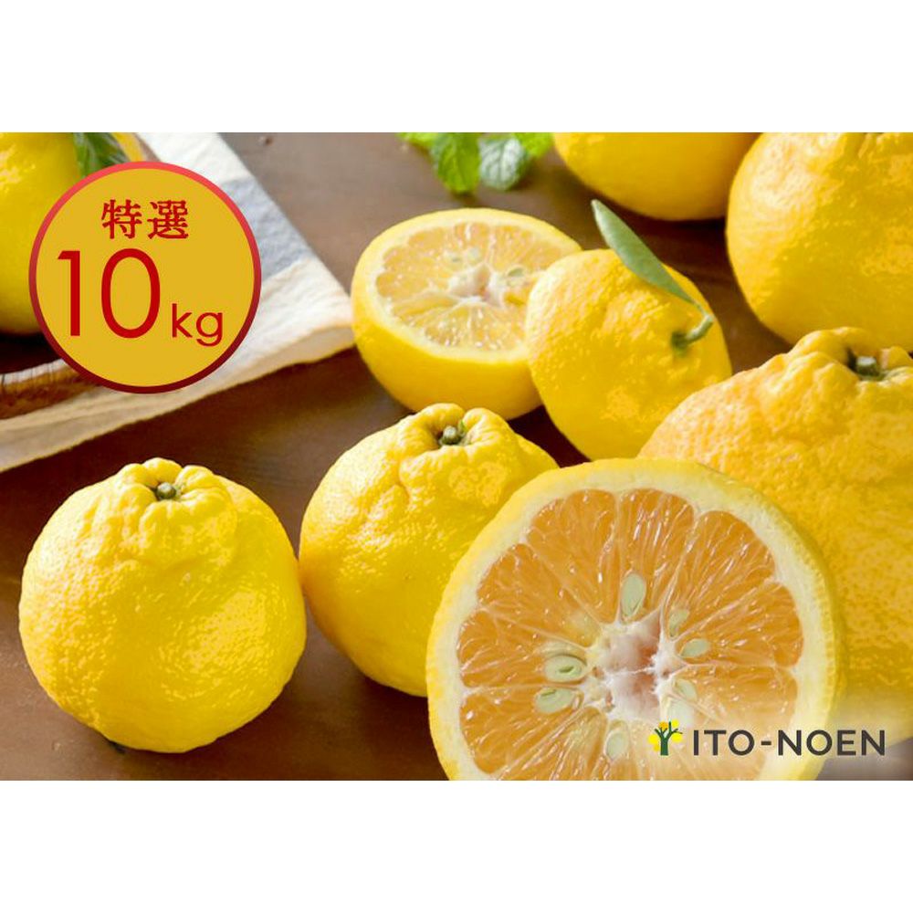 三宝柑【贈答用(特選品)】10kg | 有田みかん・和歌山県産柑橘の青果