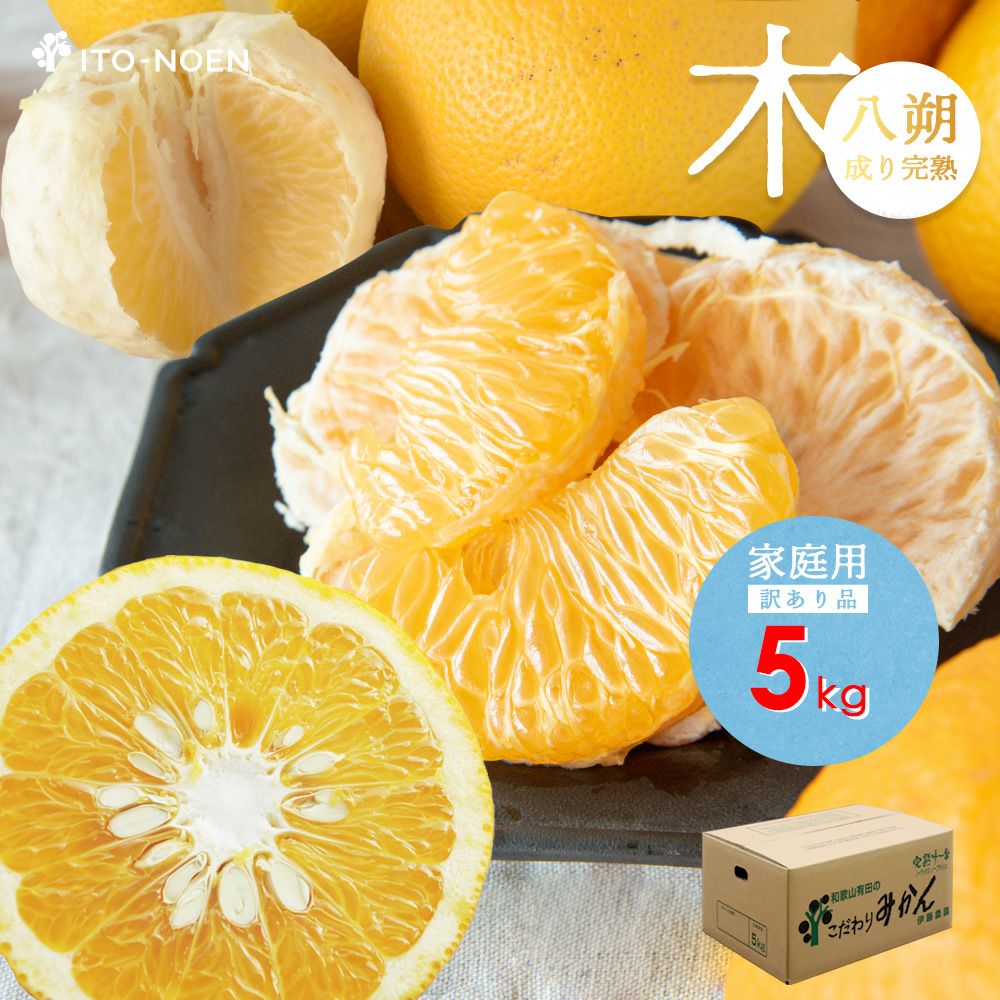 春季限定】木成り八朔（はっさく）【家庭用(訳あり)】5kg・10kg | 有田