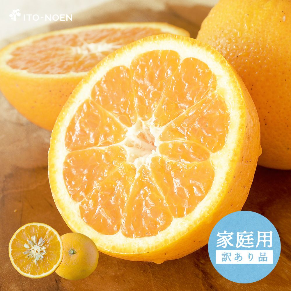 清見(きよみ)|Kiyomi | 有田みかん・和歌山県産柑橘の青果、加工品