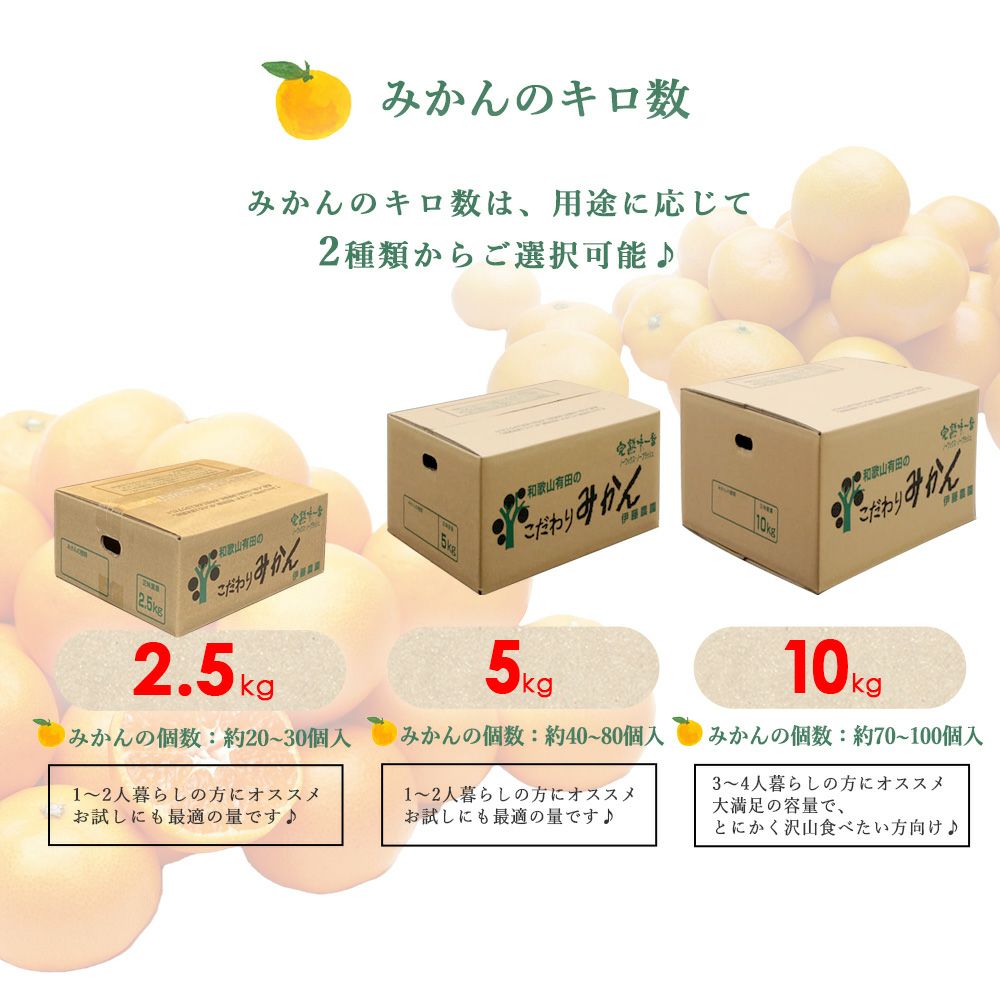お届け定が選べる♪｜お届け予定より発送予定】有田みかんS～Mサイズ