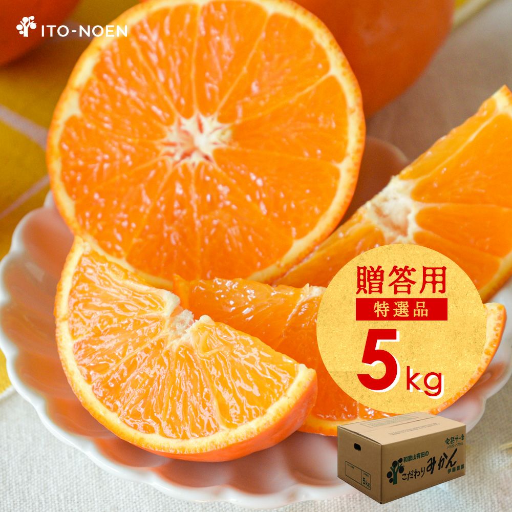 春季限定】【5月上旬より順次発送予定】セミノール【贈答用(特選品)】5