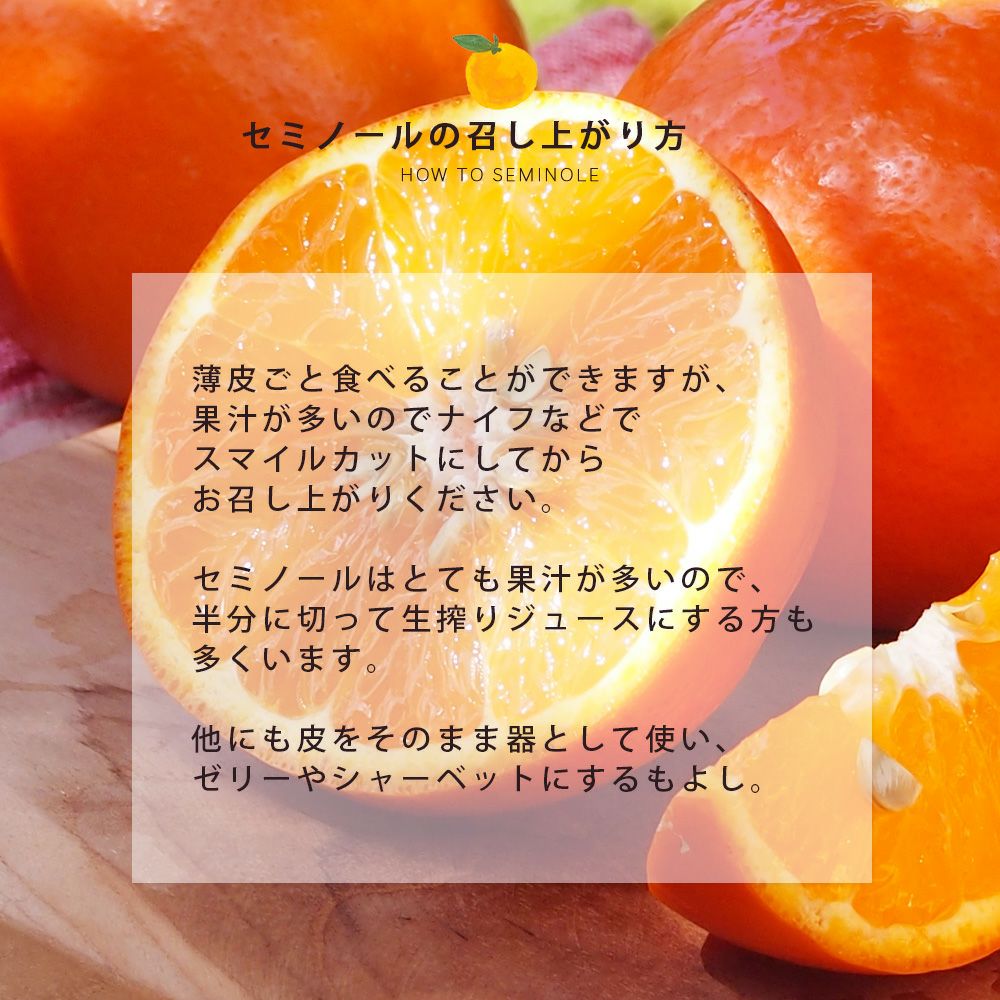 春季限定】【5月上旬より順次発送予定】セミノール【家庭用(訳あり品
