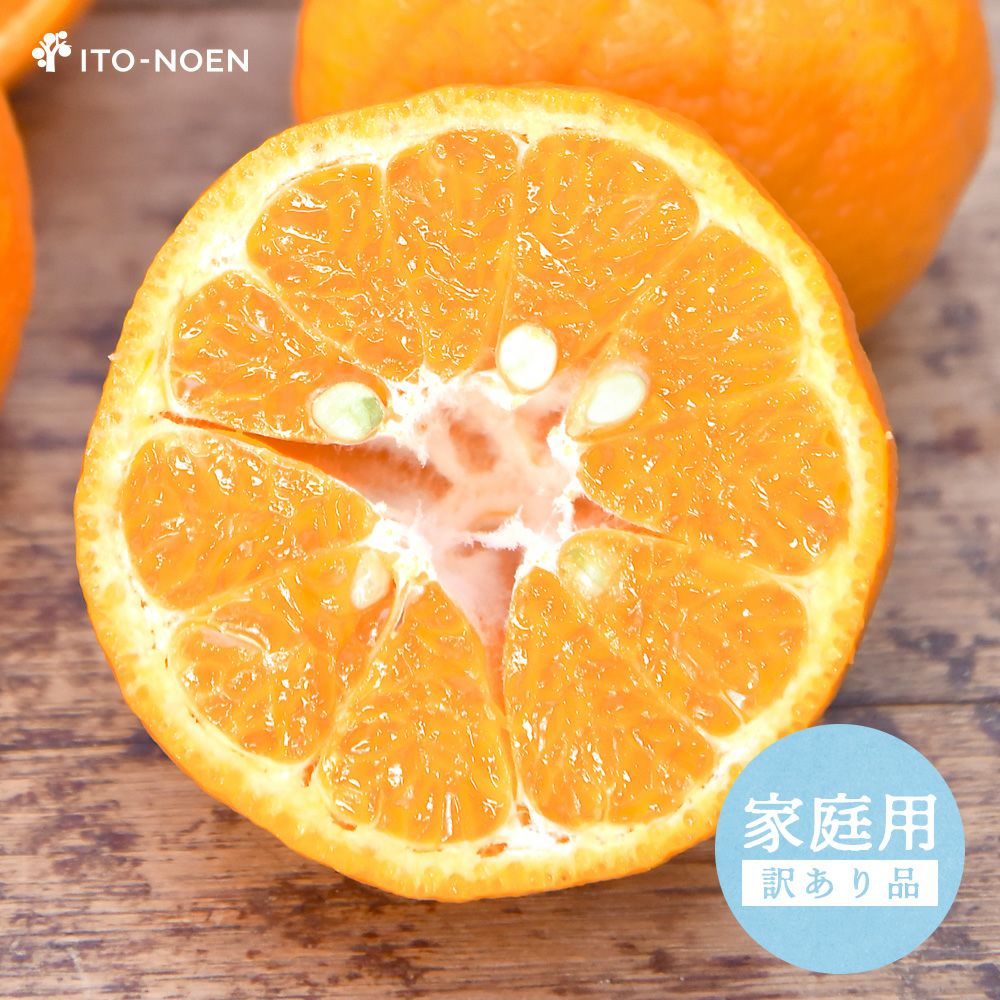 文旦　みかん　ポンカン　訳あり　115 数量限定】 訳あり ポンカン 5kg 10kg | ぽんかん 訳あり 家庭用 秀品