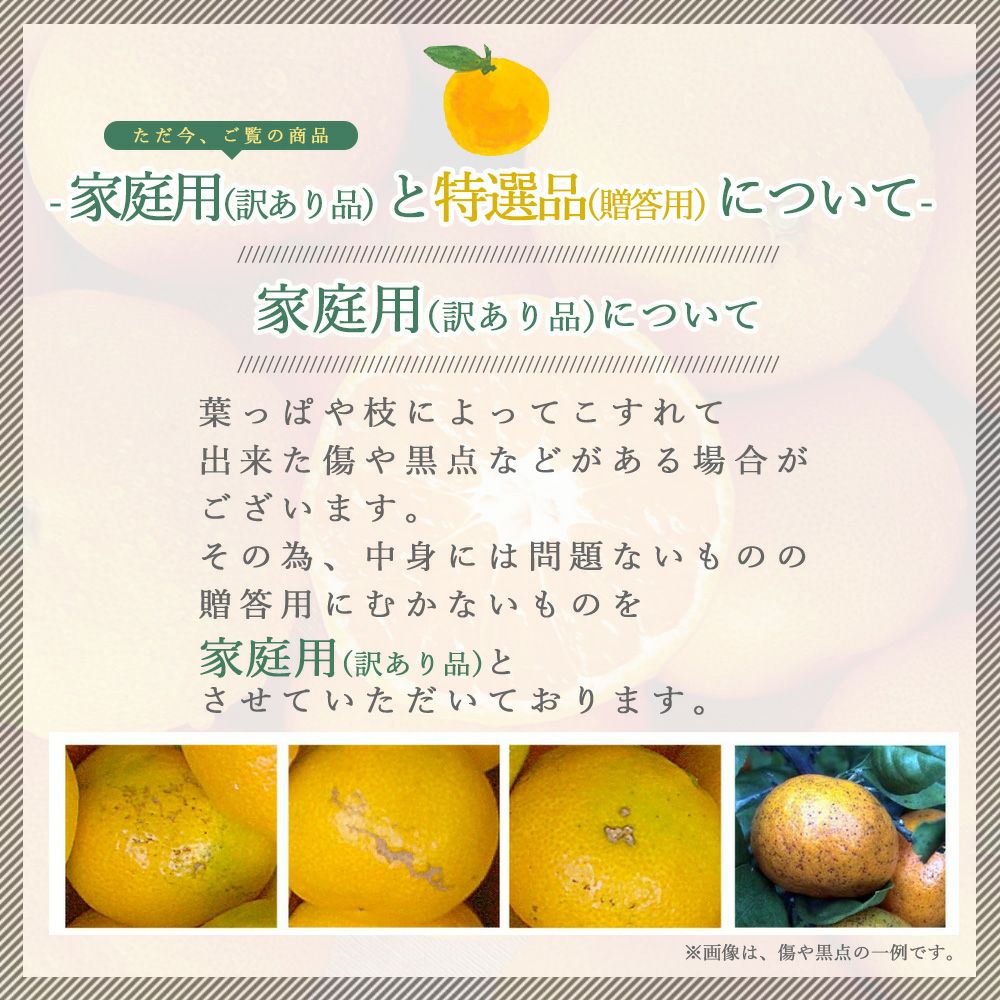 ポンカン【家庭用(訳あり)】 5・10kg