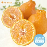 【2月中旬より順次発送】不知火(デコポン) 【家庭用(訳あり)】10kg