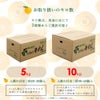 【2月中旬より順次発送】不知火(デコポン) 【家庭用(訳あり)】10kg