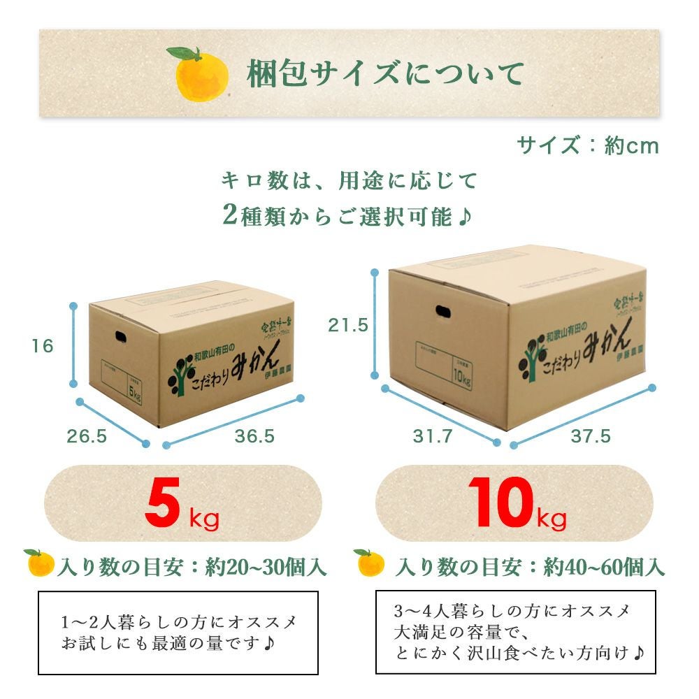 春季限定】不知火(デコポン同品種) 【家庭用(訳あり)】5・10kg | 有田