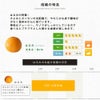 【3月上旬以降 順次発送予定】はるみ【贈答用(特選品)】5kg・10kg